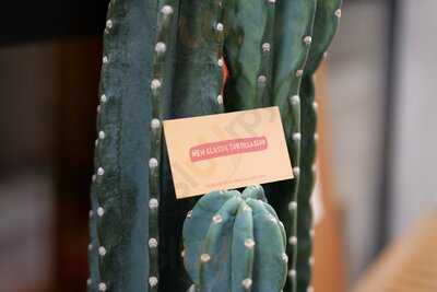 Tortilla Club TORTILLERIA