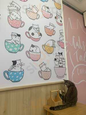 Cats Tale Cafe