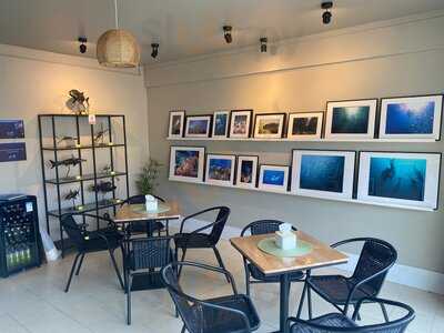 Ocean Café, Bar & Underwater Art Shop