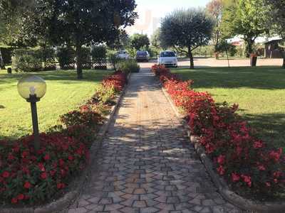 Il Tralcio, Ponte di Piave