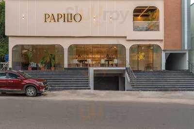 Papilio