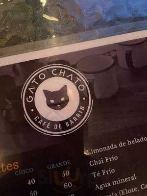 Gato Chato