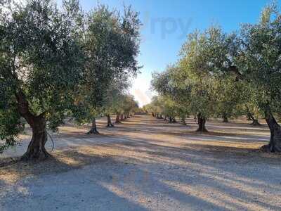 Tenuta Chianchito