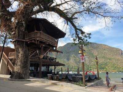 The Treehouse Beach Club