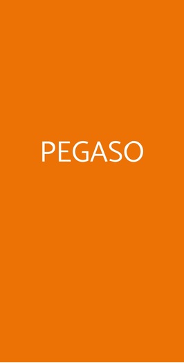 Pegaso, Busto Arsizio