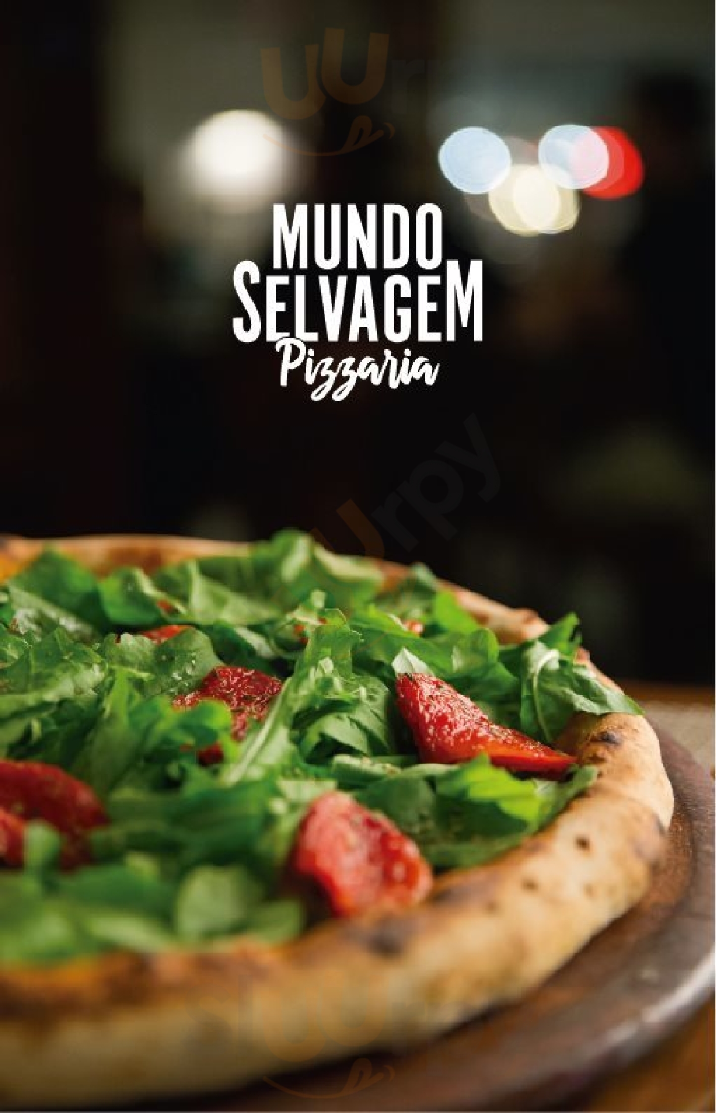 Mundo Selvagem Pizza Balneário Camboriú Menu - 1