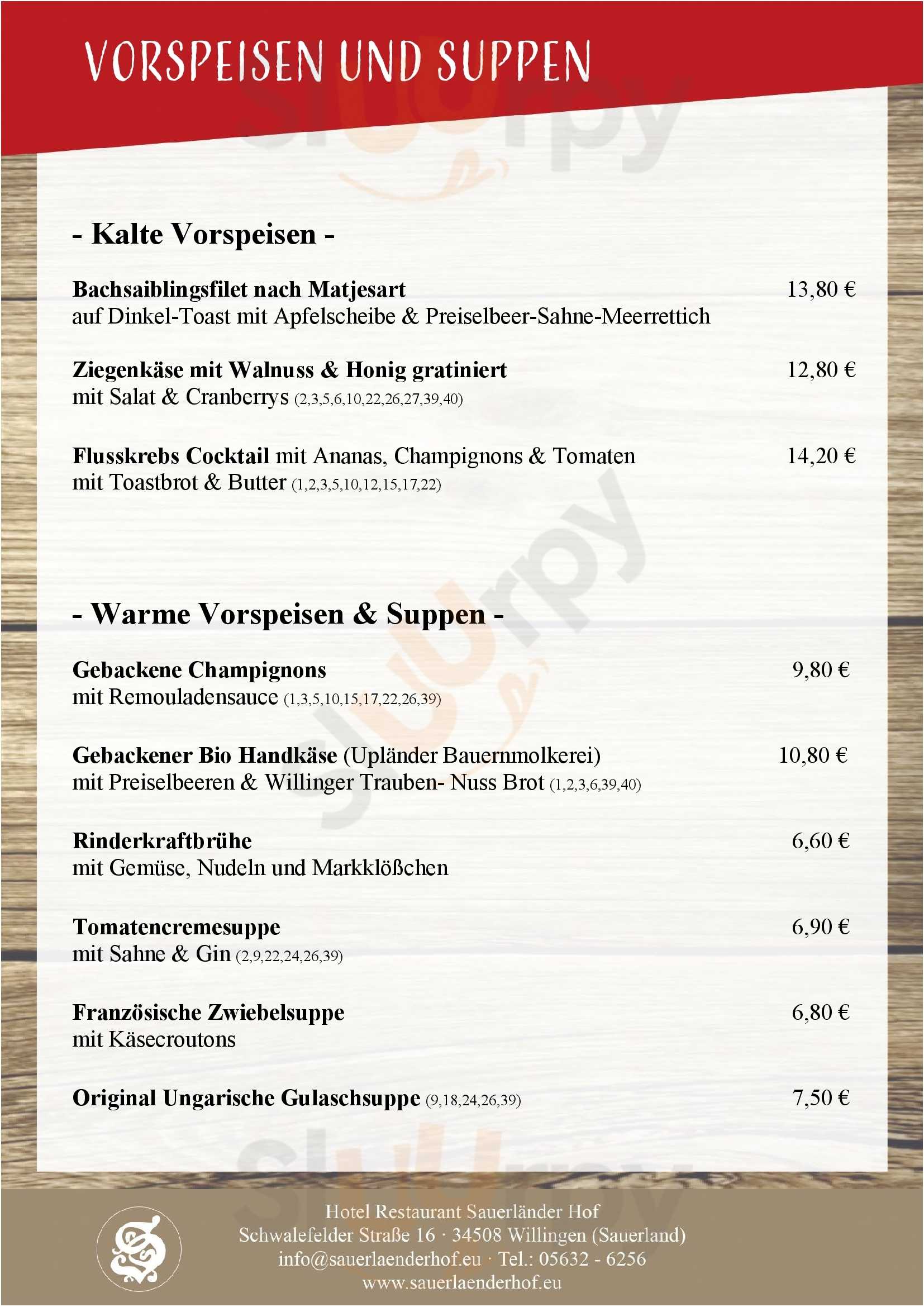Restaurant Sauerländer Hof Willingen Willingen Menu - 1