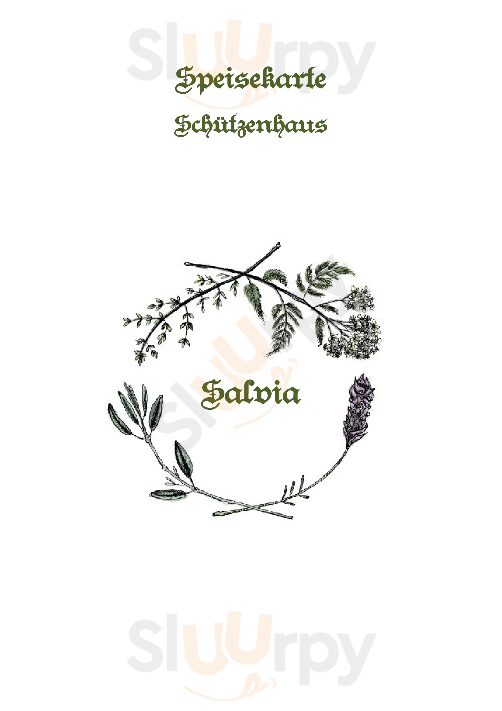 Salvia Hechingen Menu - 1