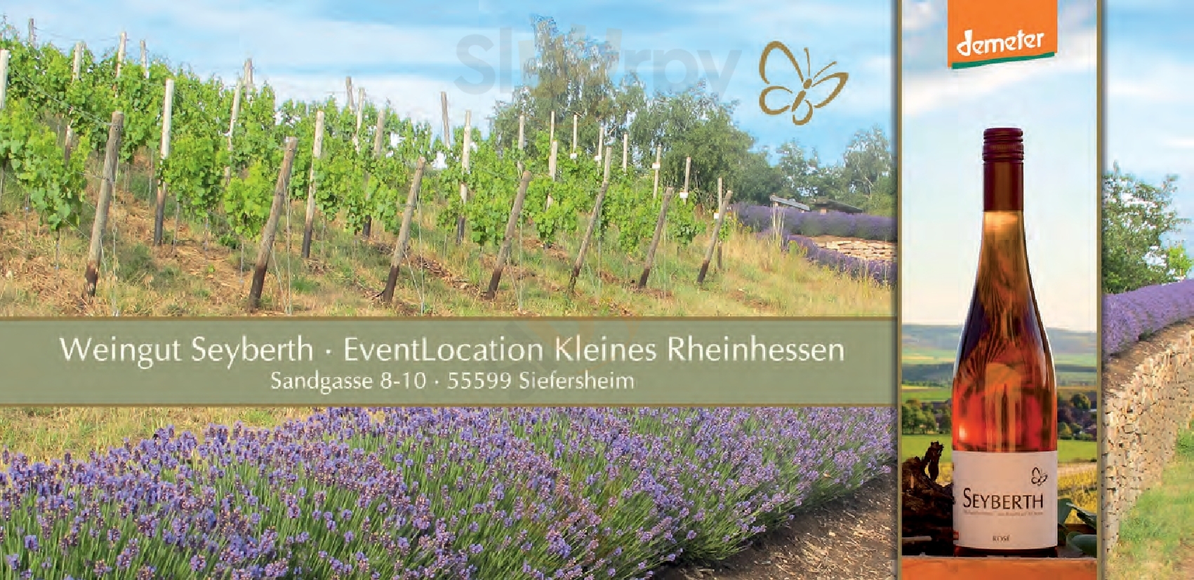 Weinstube Kleines Rheinhessen Siefersheim Menu - 1