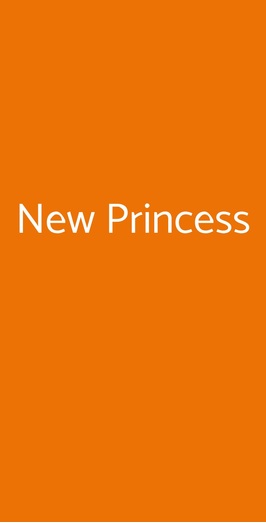 New Princess, Torino