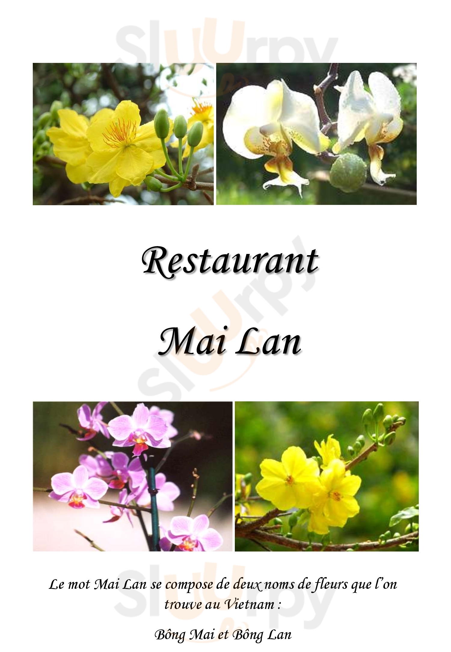 Restaurant Vietnamien Mai Lan Clermont-Ferrand Menu - 1
