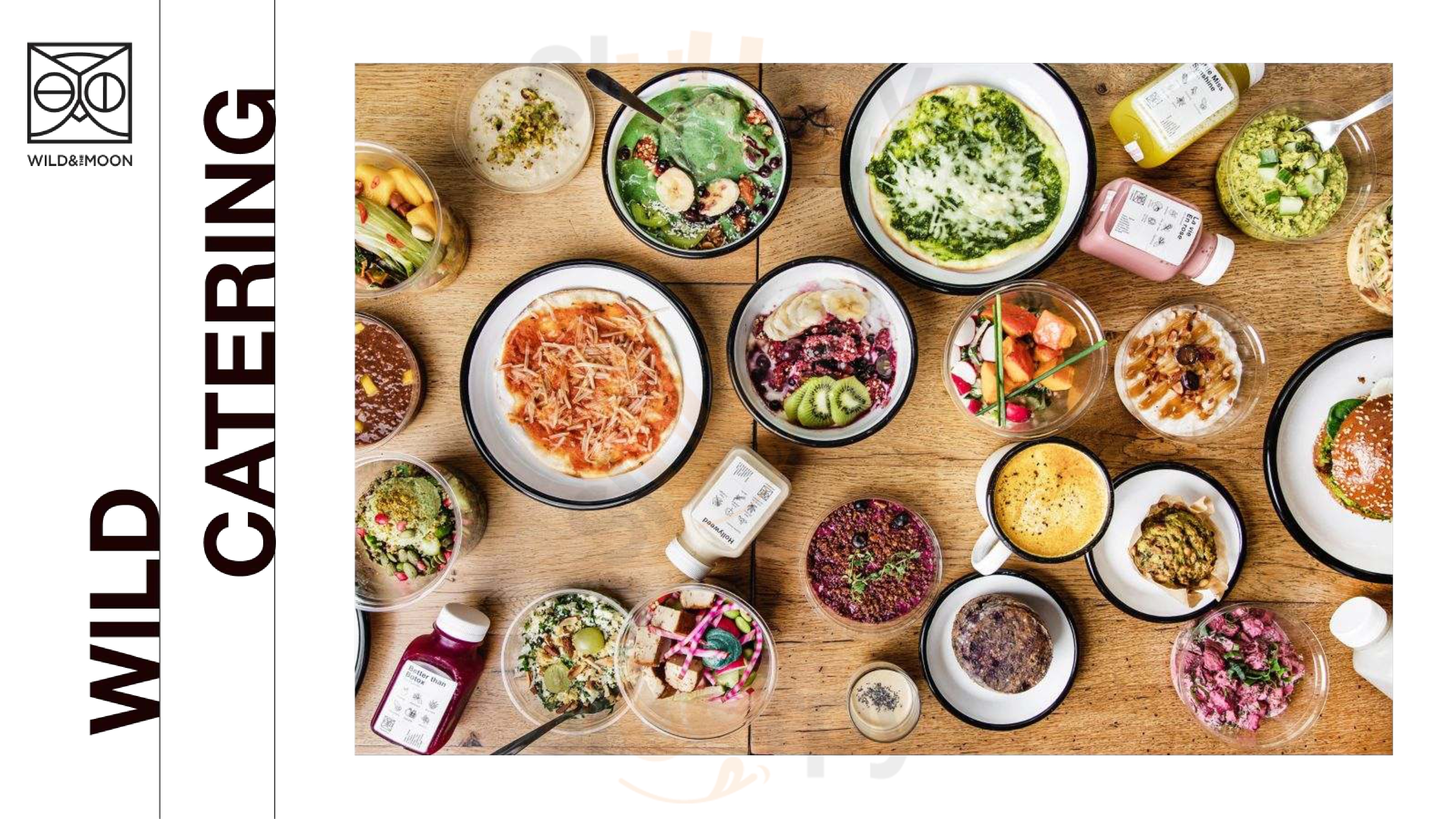 Main Menu - Wild & The Moon 