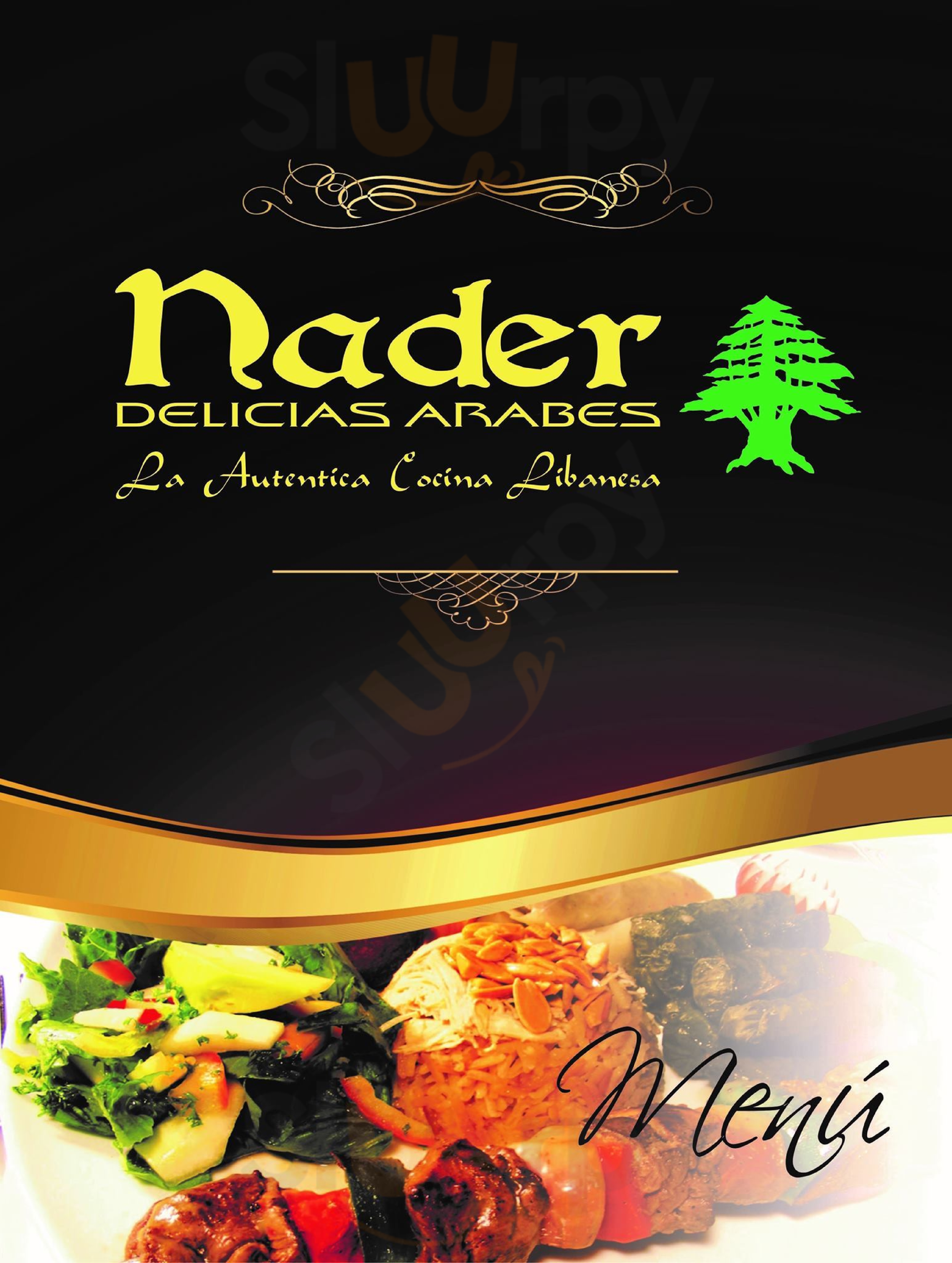 Nader Delicias Árabes Santa Marta Menu - 1
