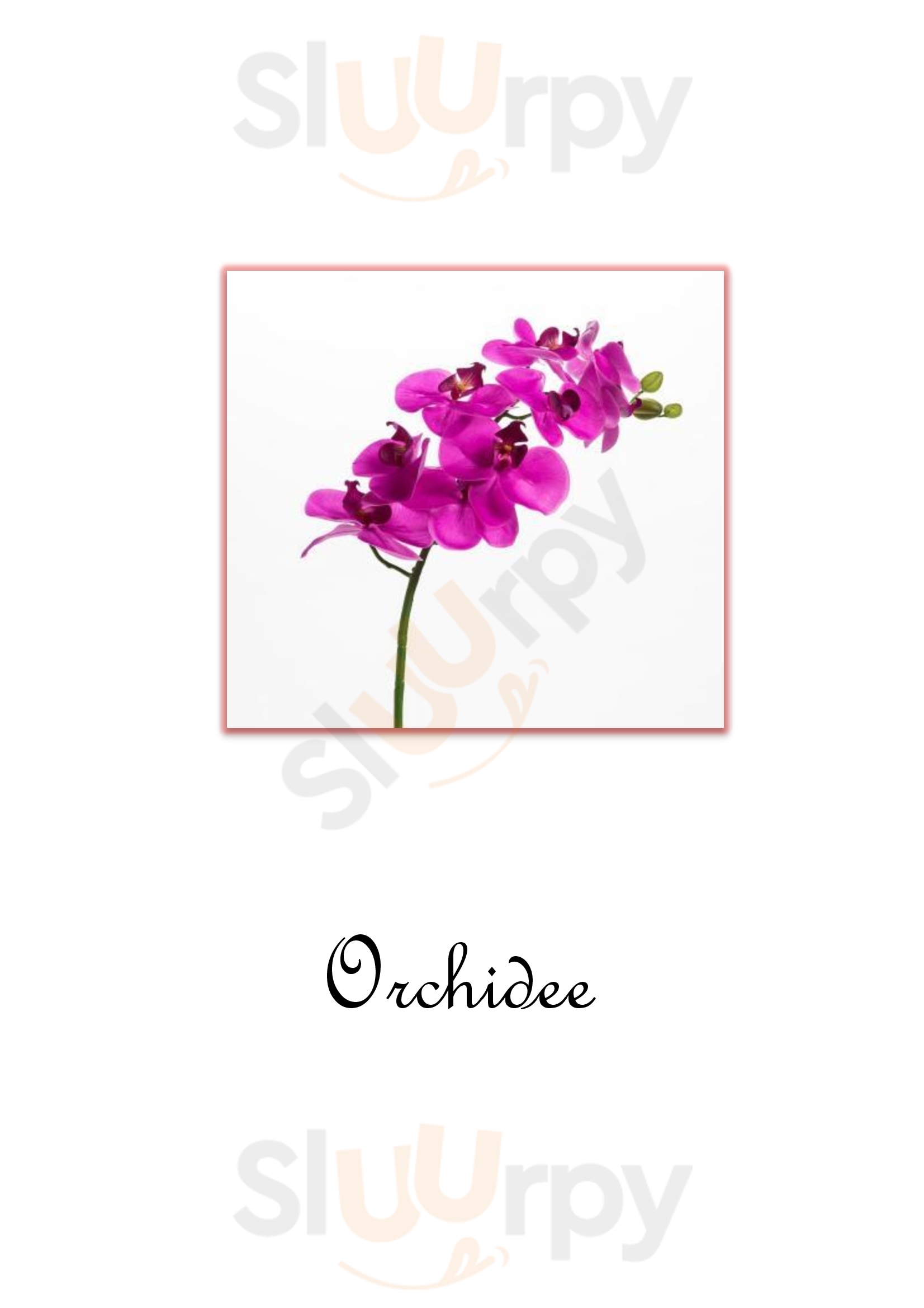 Orchidee Menen Menu - 1
