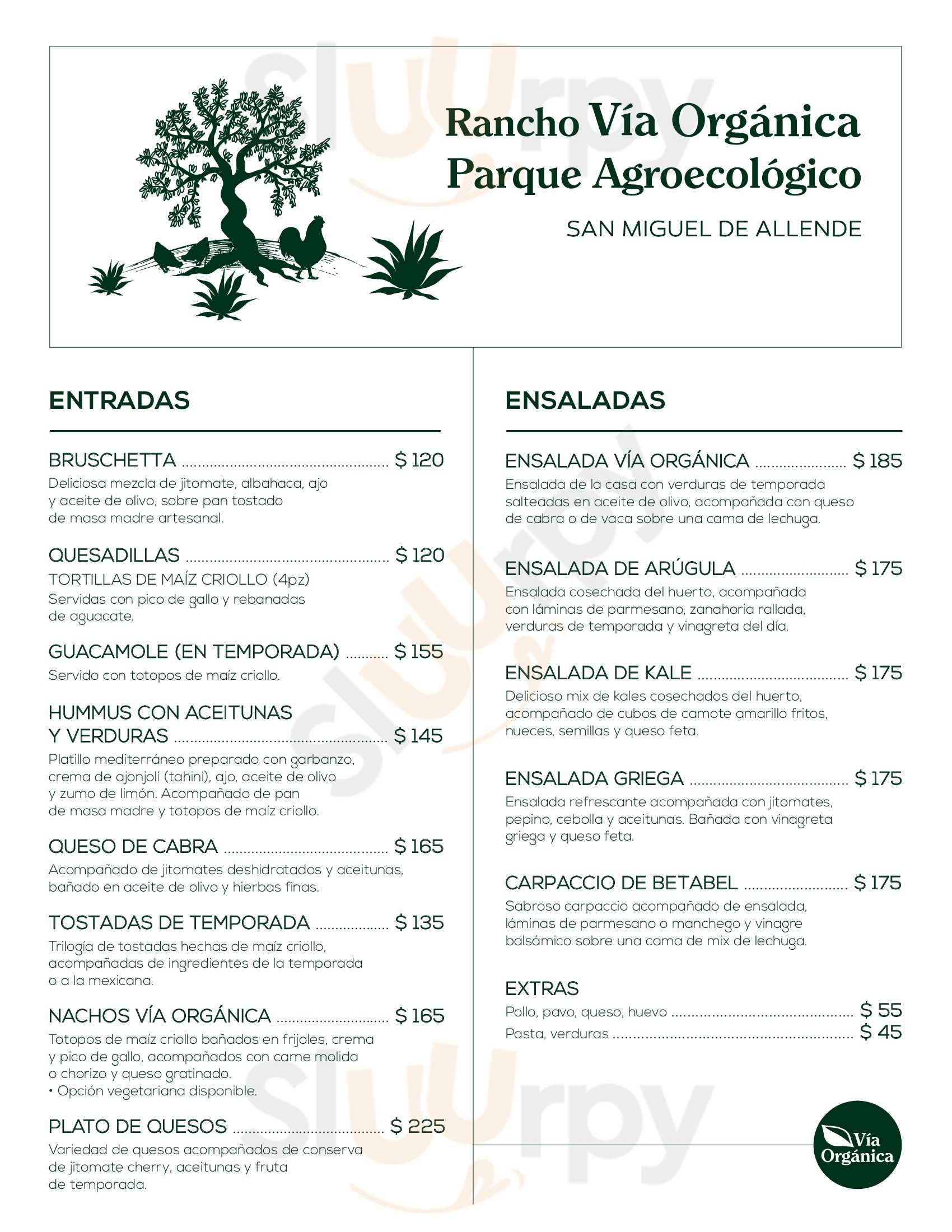 Vía Orgánica Restaurante Y Parque Agroecológico San Miguel de Allende Menu - 1