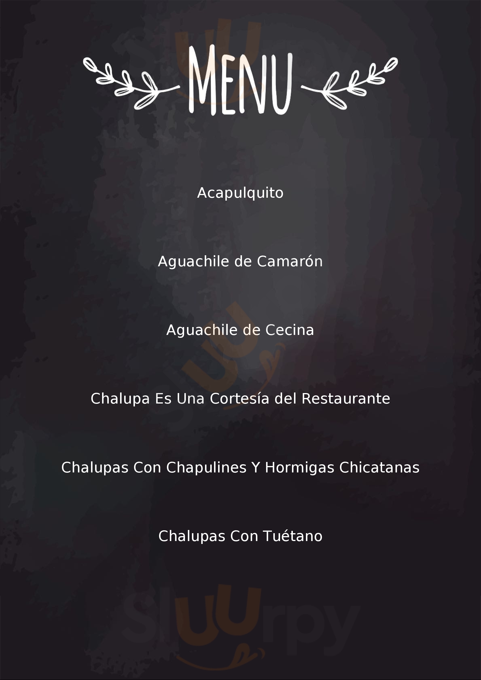 La Chicatana Cocina Mexicana Puebla Menu - 1
