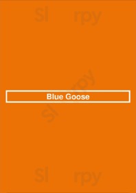 Blue Goose, Patchogue