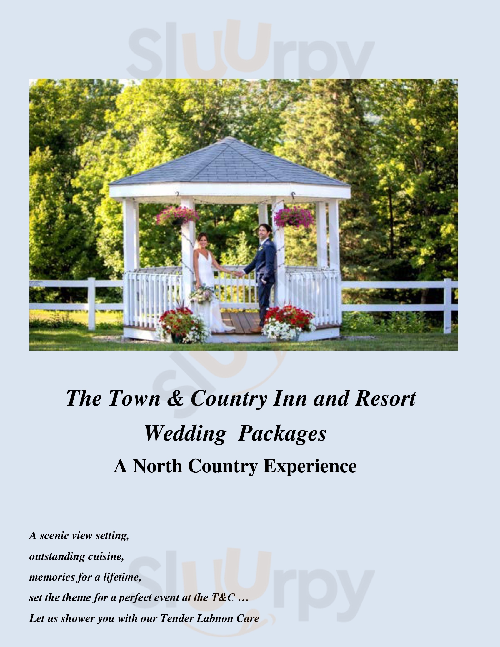 Town And Country Motor Inn Restaurant Gorham Menu - 1