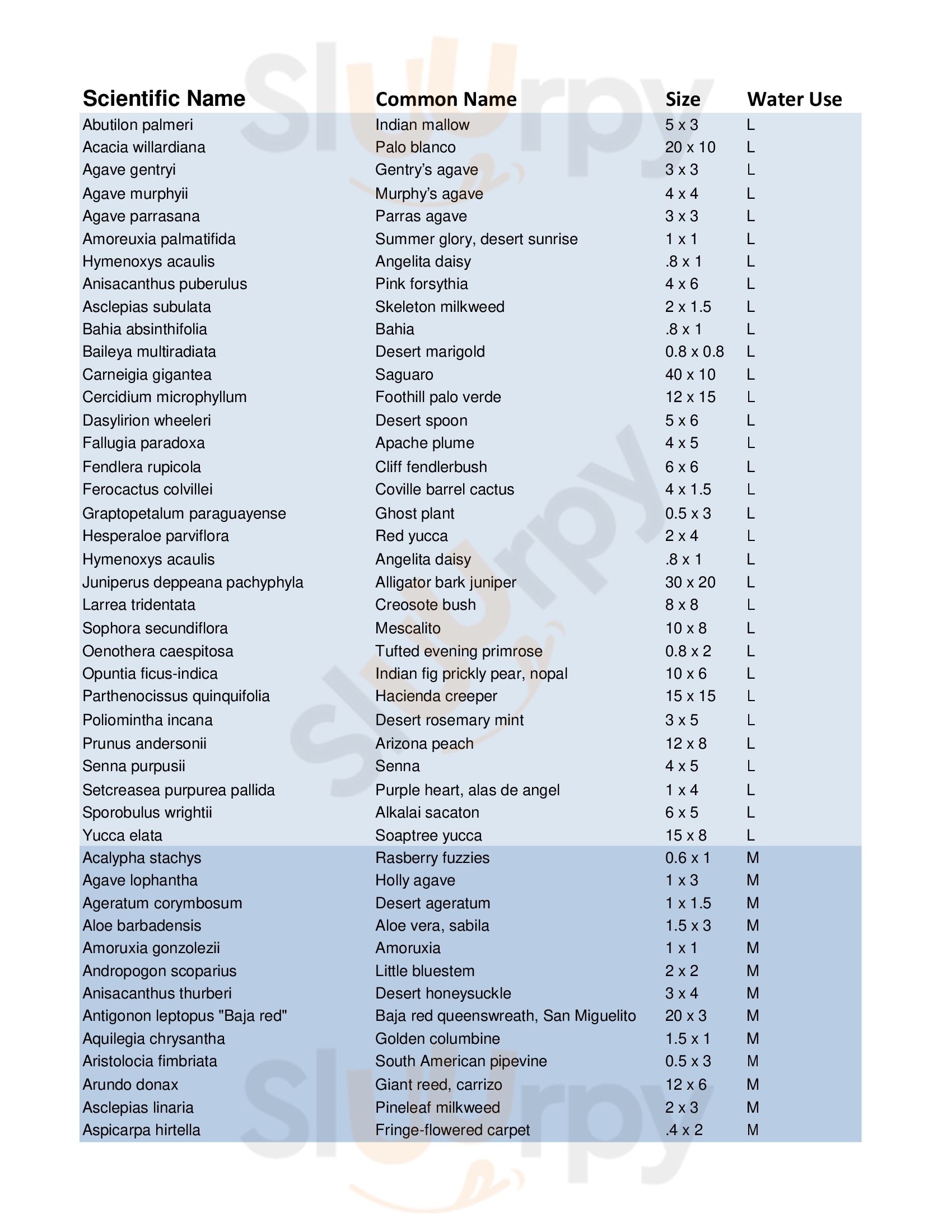 Main Menu - Tohono Chul Garden Bistro