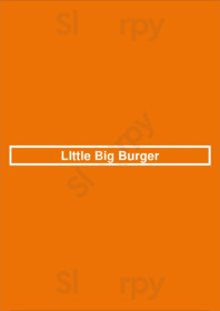 Little Big Burger