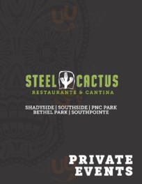 Steel Cactus