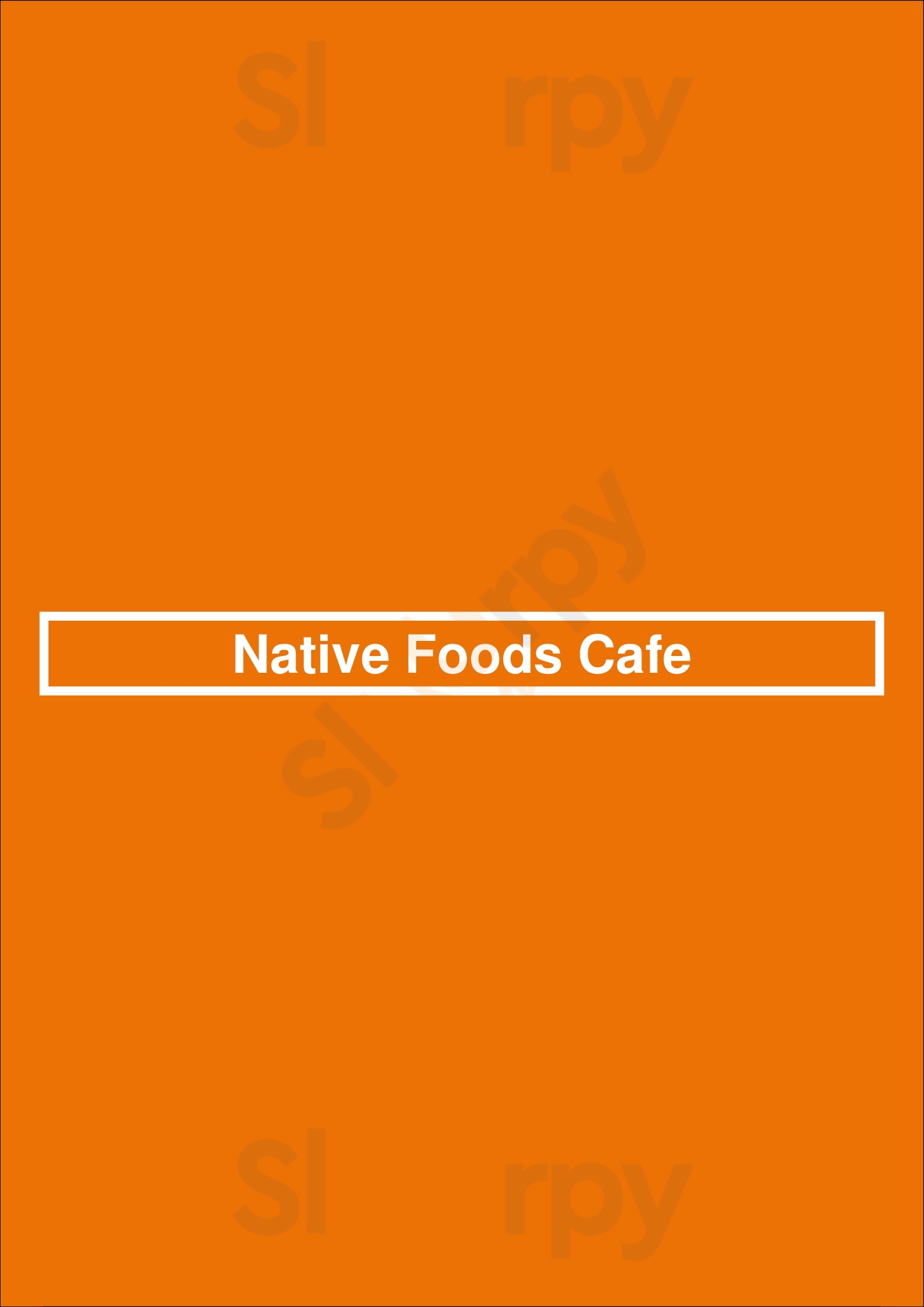 Native Foods Cafe Chicago Menu - 1