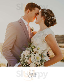 Tc’s Bar And Grill