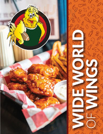 Wide World Of Wings