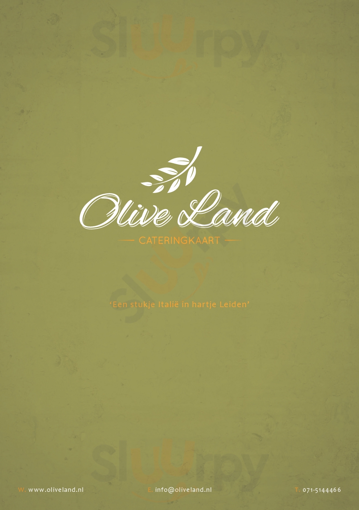 Olive Land Leiden Menu - 1