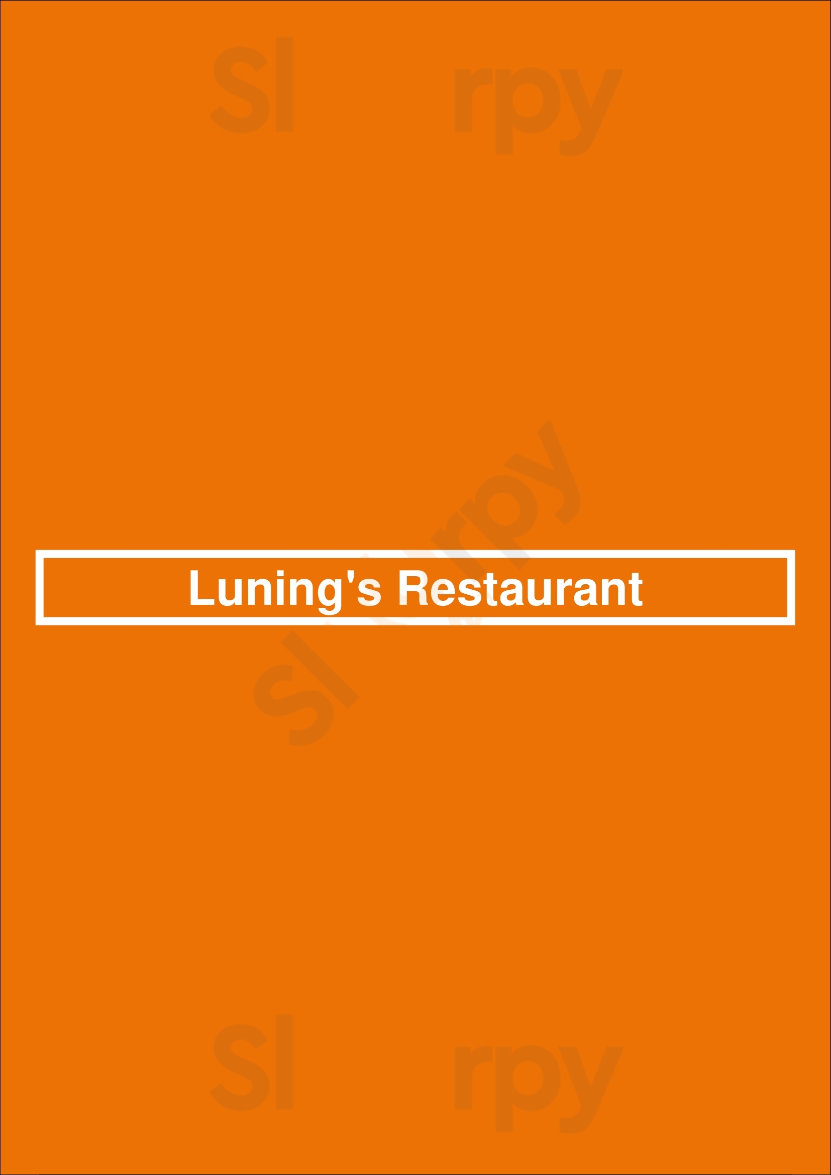 Luning's Restaurant Ruinen Menu - 1