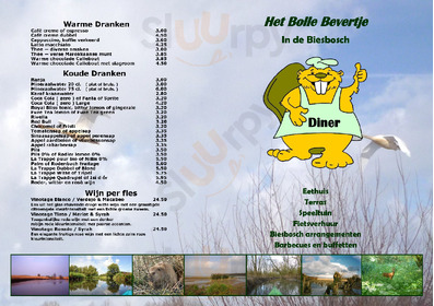 De Brabantse Biesbosch