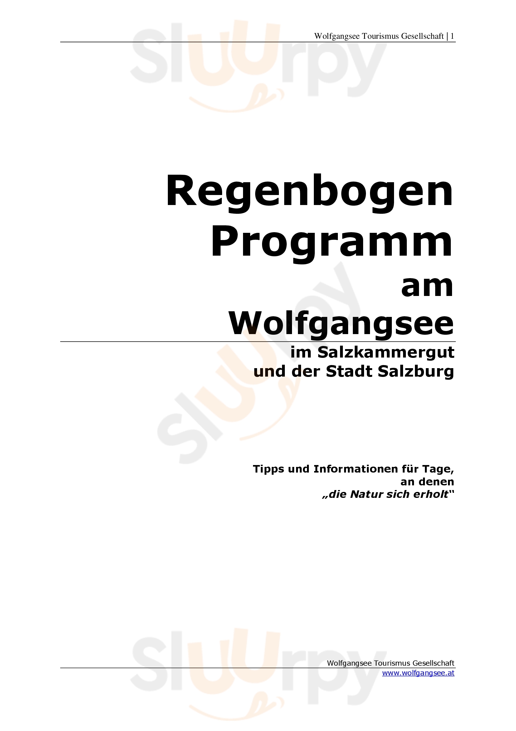 Jausenstation "holzerbauer" Johann Stadlmann St. Wolfgang im Salzkammergut Menu - 1