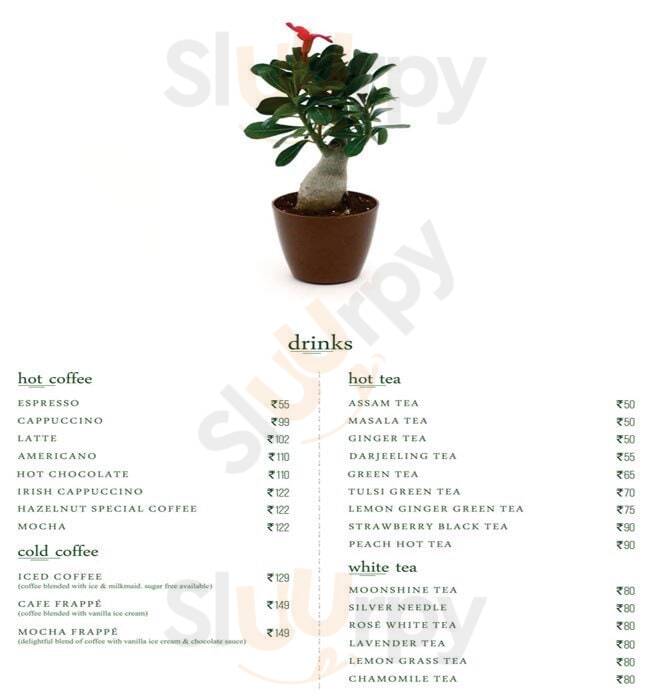 O2 The Plant Cafe Jaipur Menu - 1