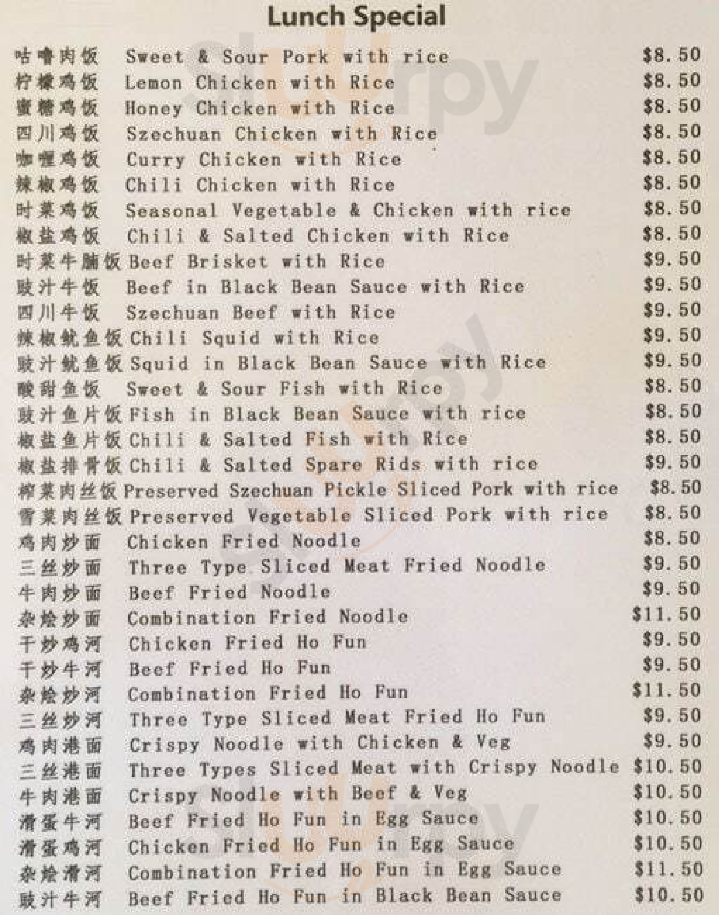 Hong Kong Cuisine Chinese Restaurant Cannington Menu - 1