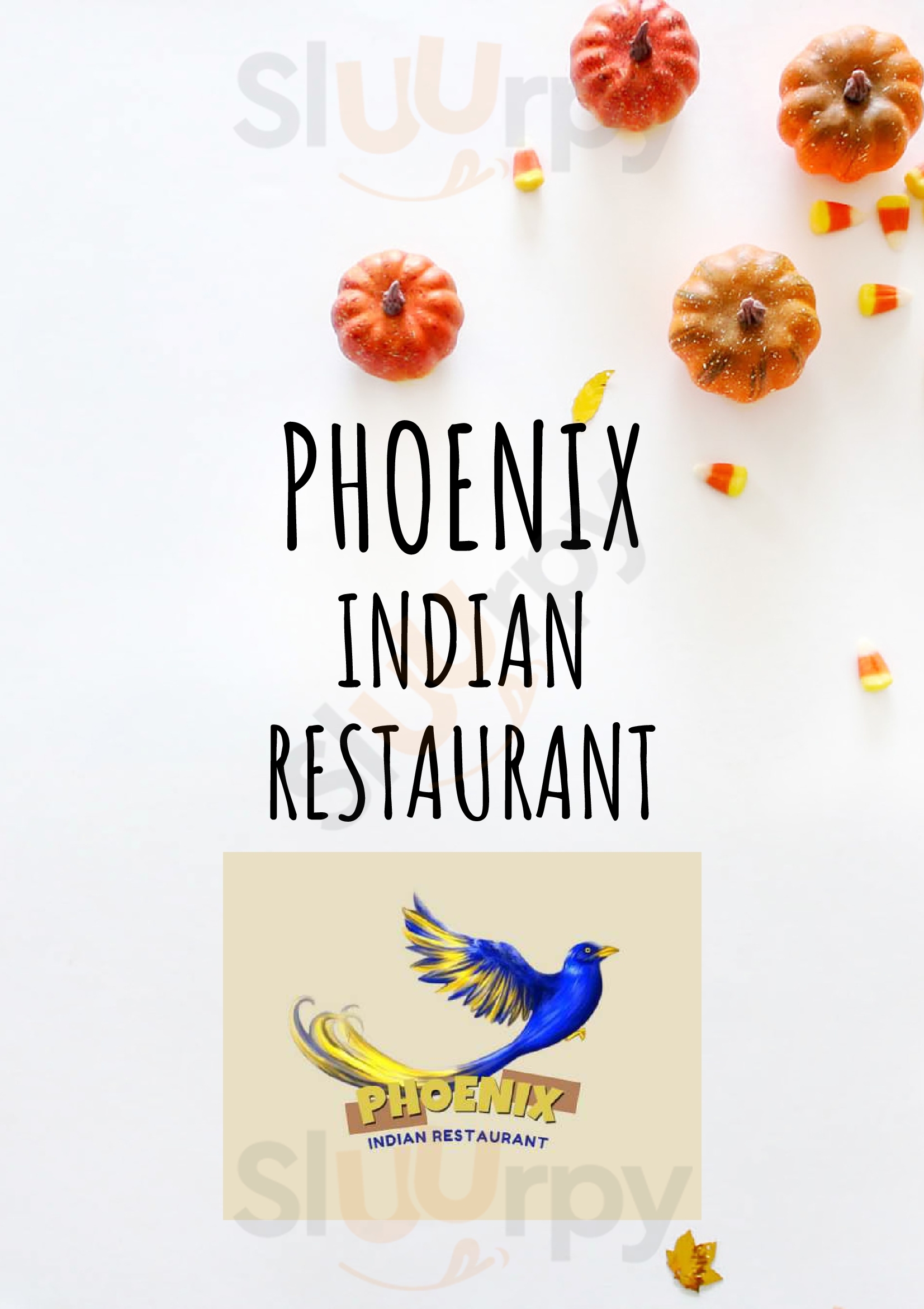 Phoenix Indian Restaurant Singapore Menu - 1