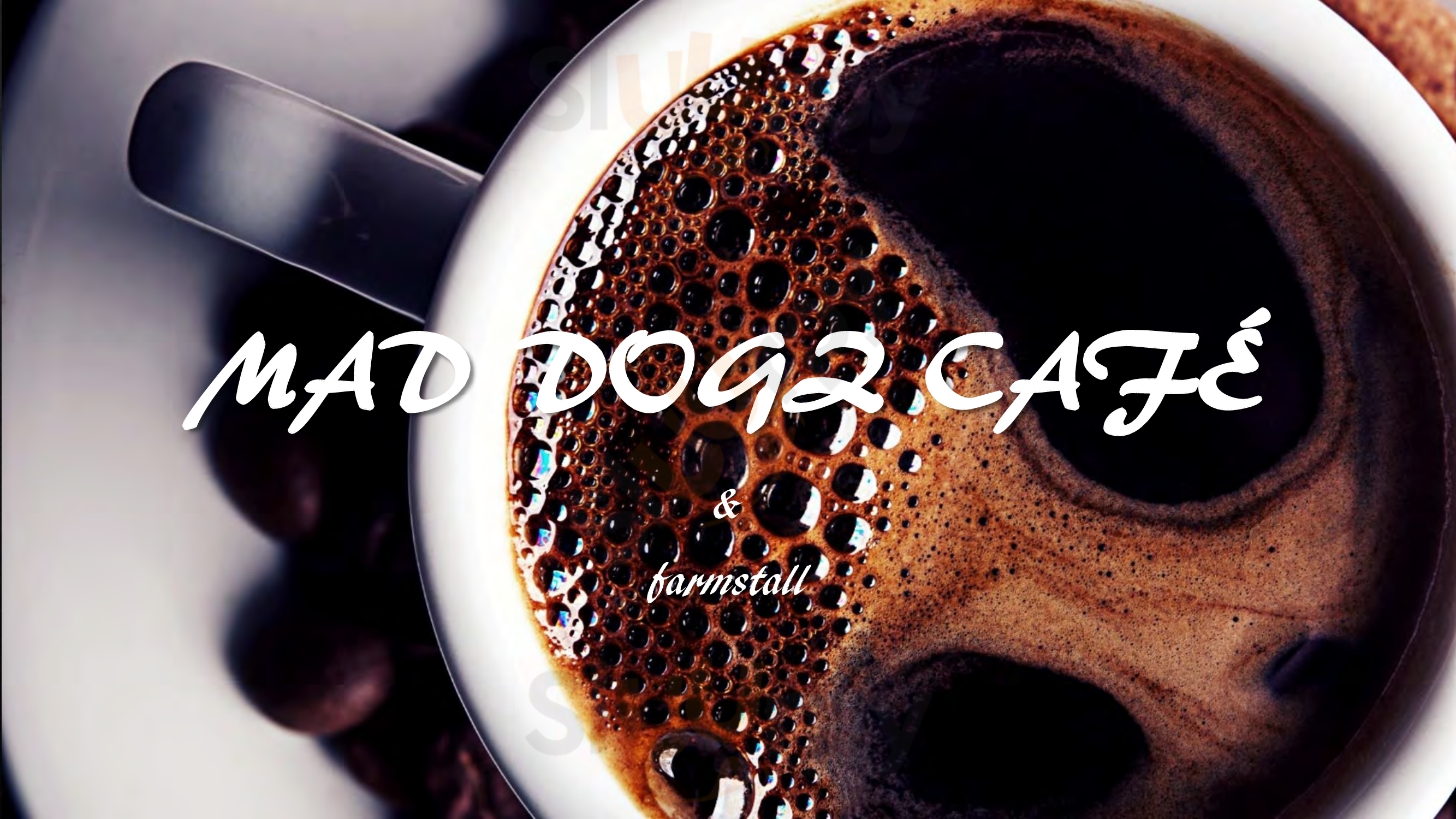 Mad Dogz Cafe Hoedspruit Menu - 1