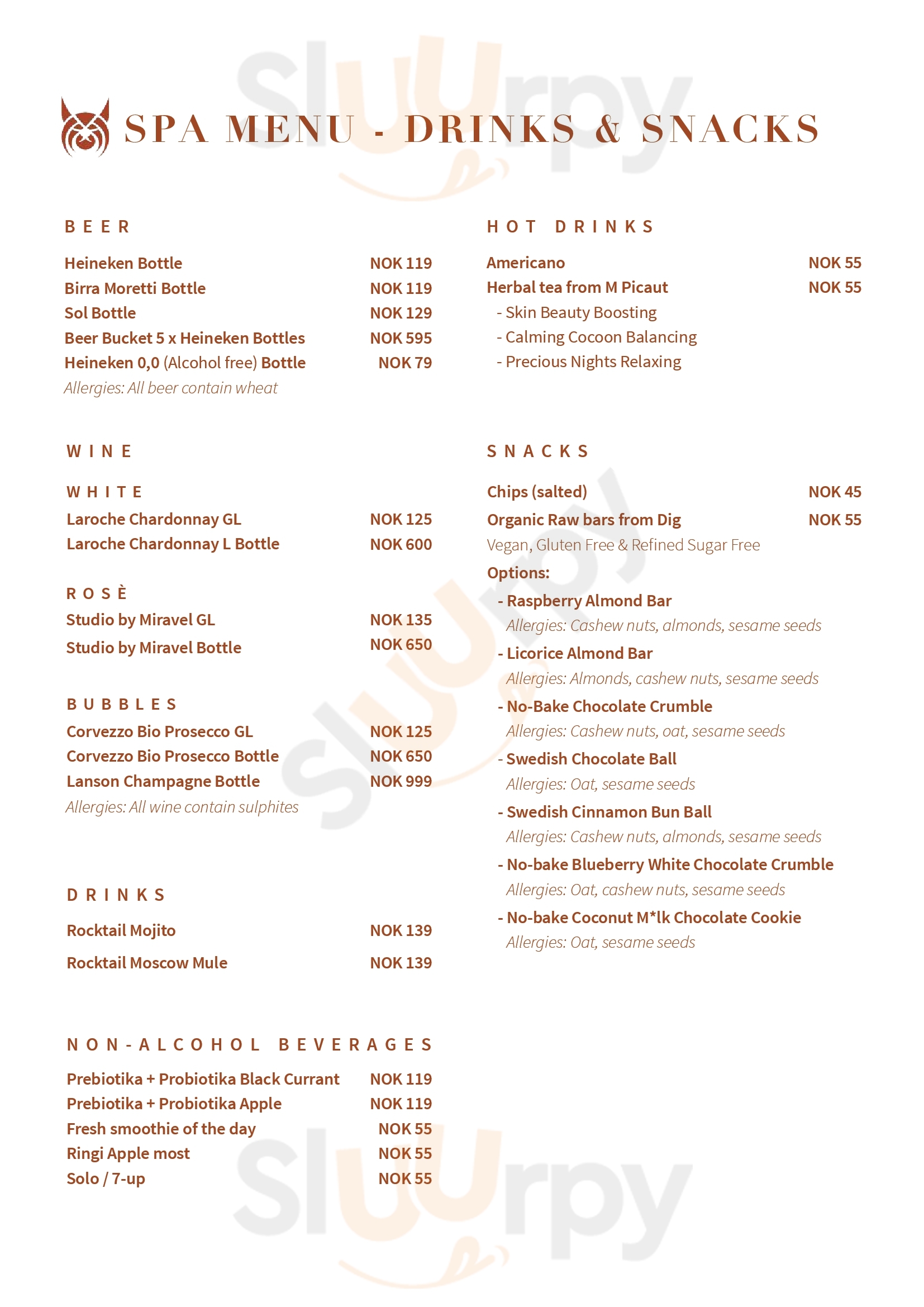 Skarsnuten Hotel Hemsedal Menu - 1