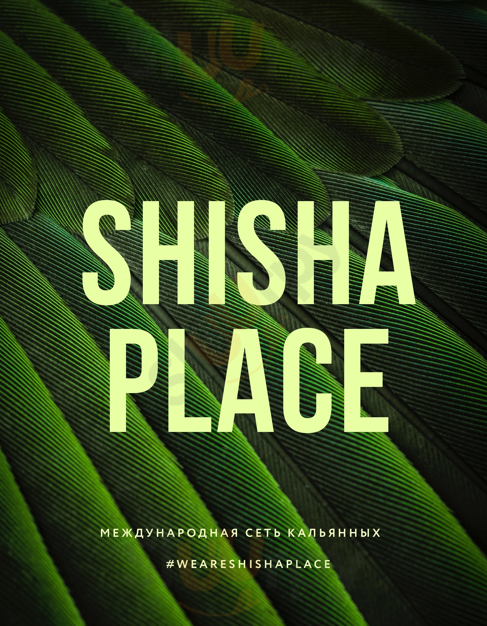The Temple Lounge - Shisha Place Nha Trang Menu - 1