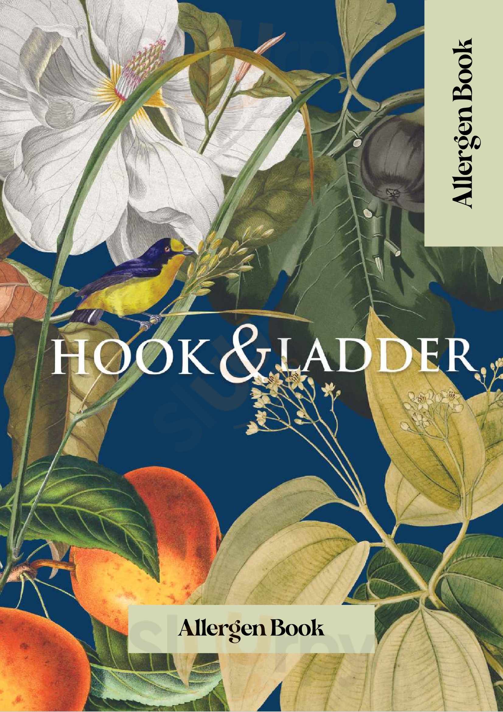 Hook & Ladder Shannon Shannon Menu - 1