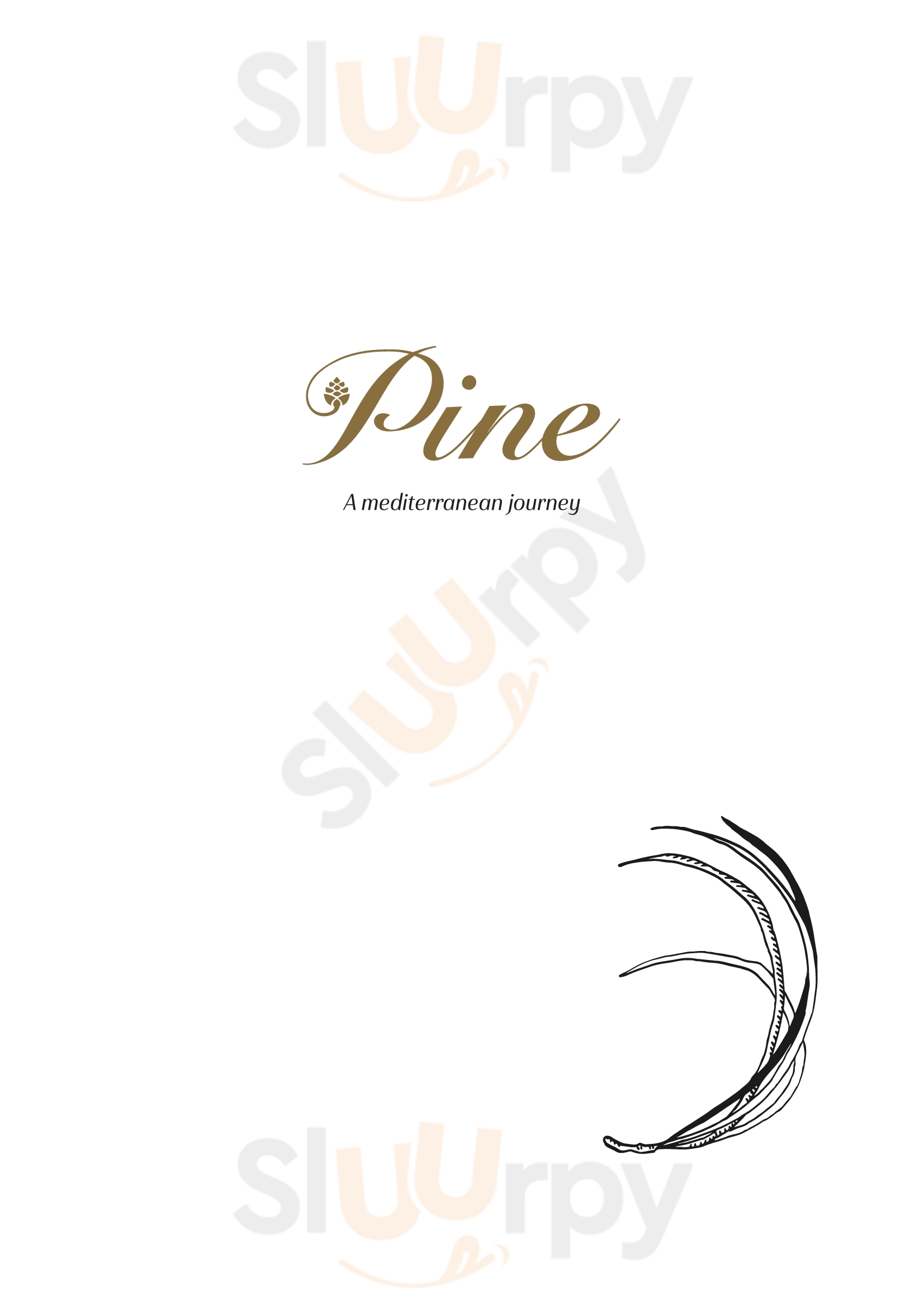 Pine Restaurant & Terrace Bucharest Menu - 1
