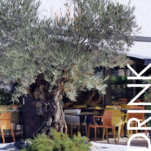 Alletorri Snack Bar