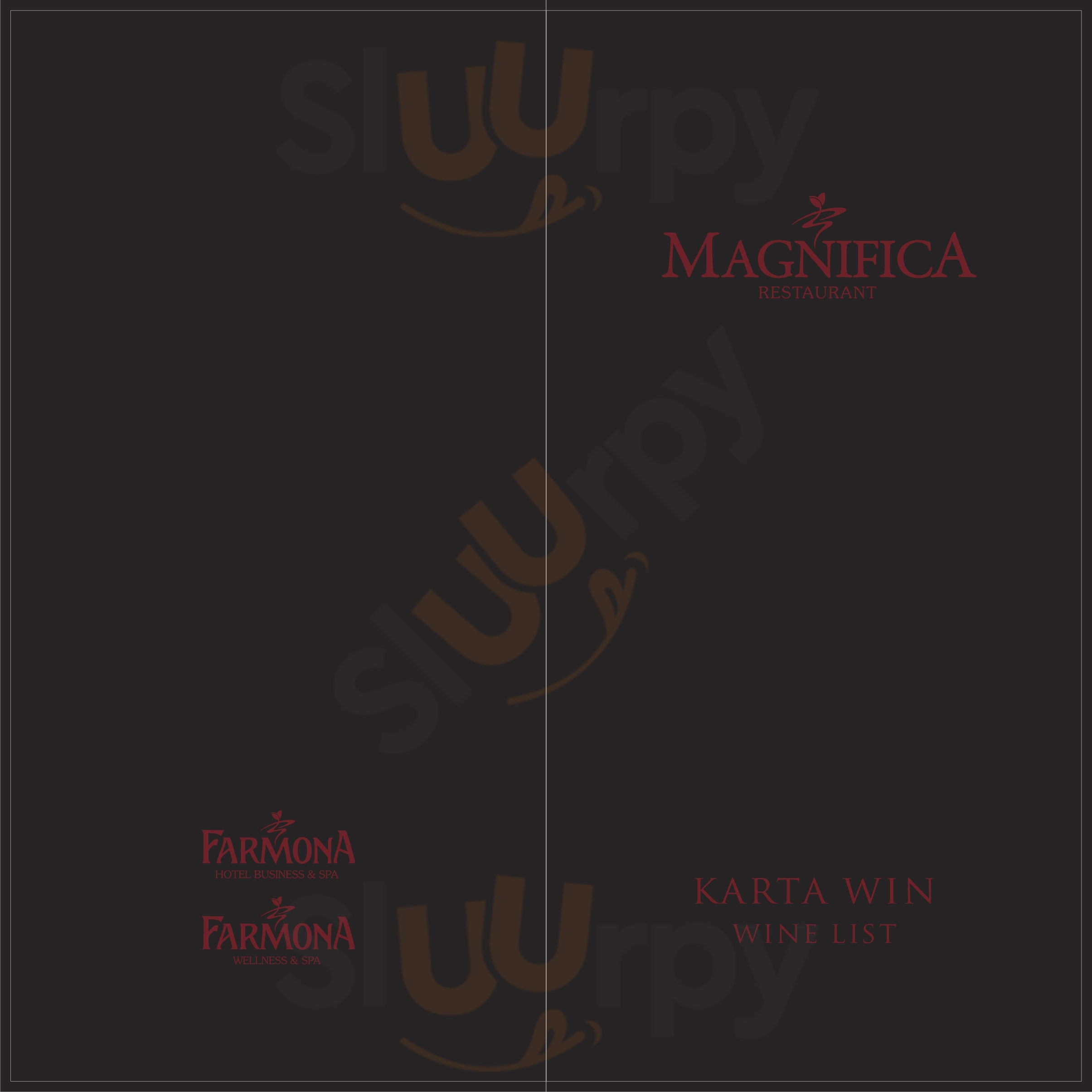 Restauracja Magnifica Kraków Menu - 1