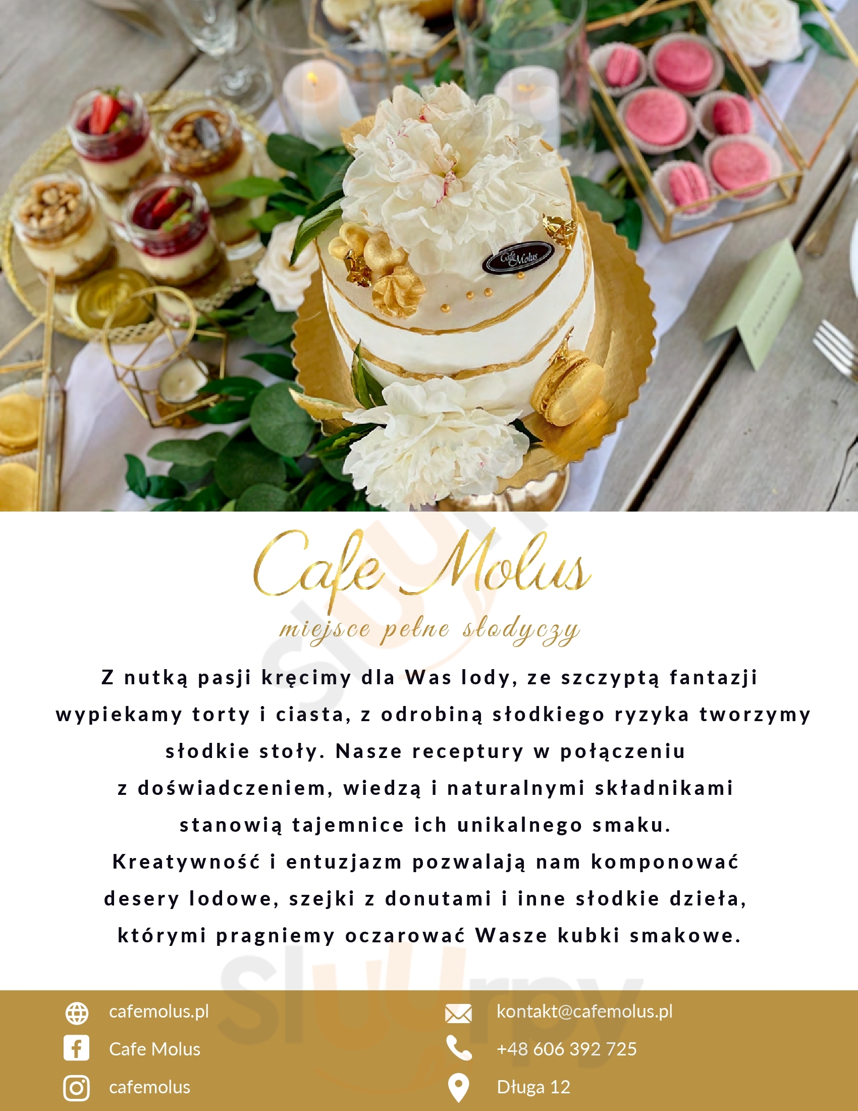 Cafe Molus Toruń Menu - 1
