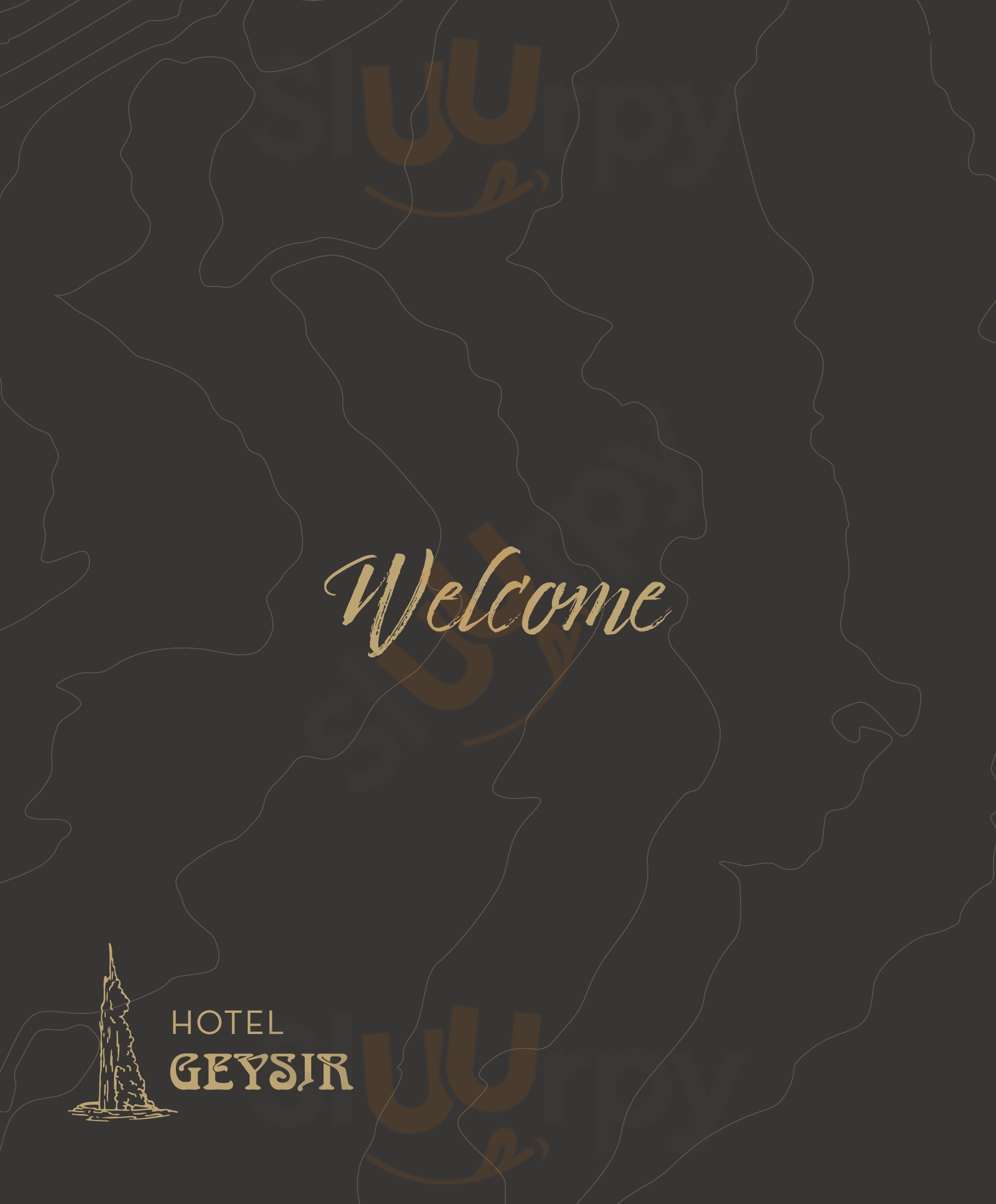 Geysir Restaurant Haukadalur Menu - 1