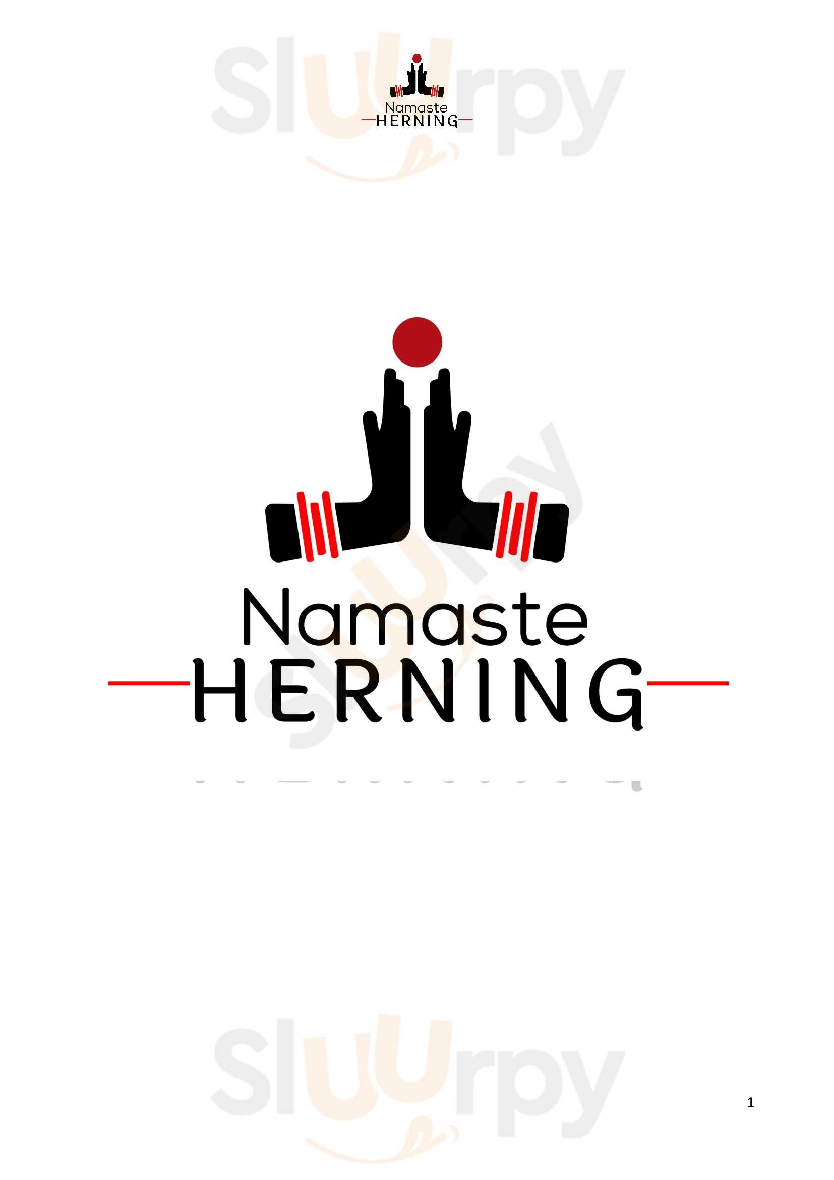 Namaste Herning Herning Menu - 1