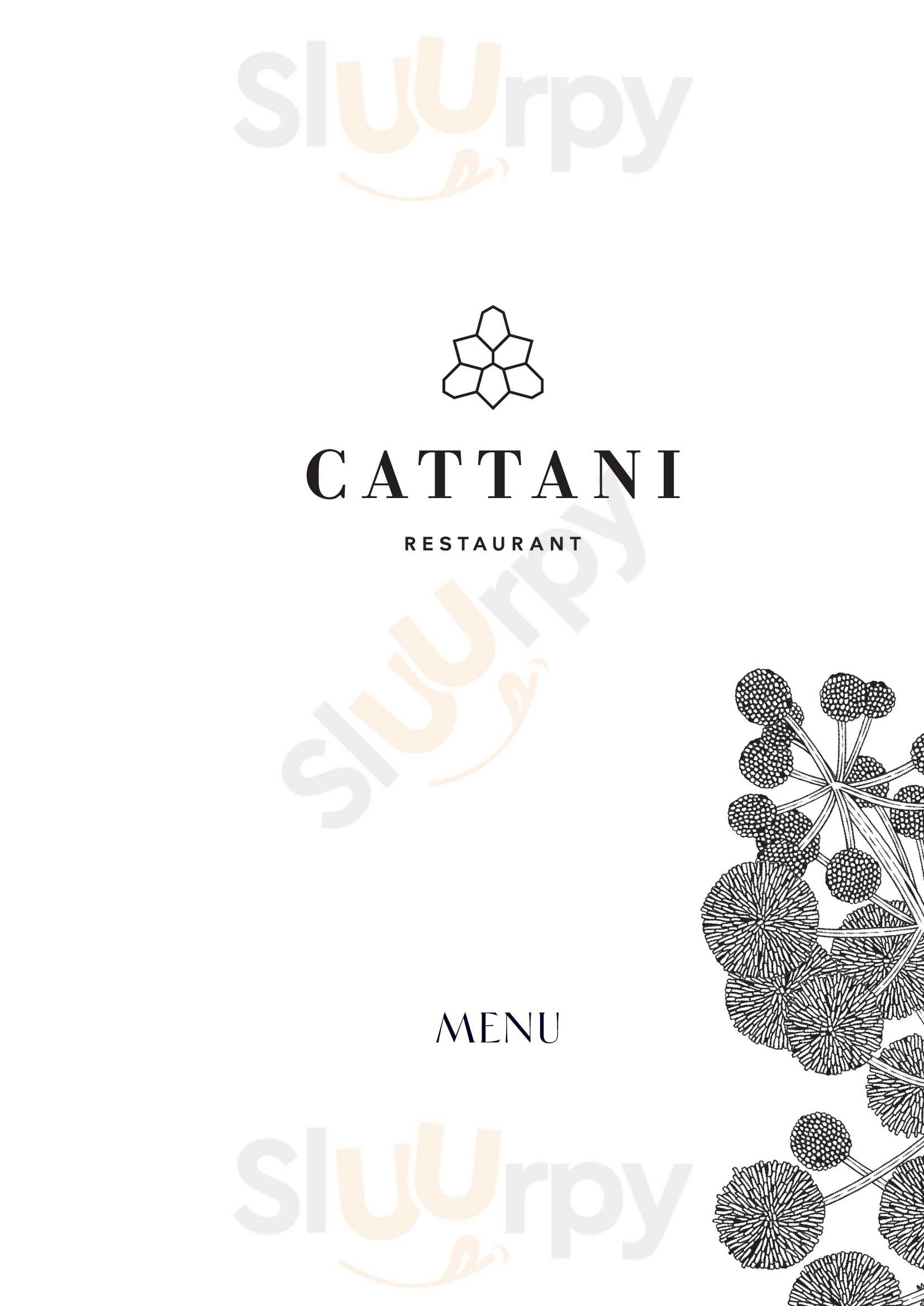 Cattani Restaurant Engelberg Menu - 1